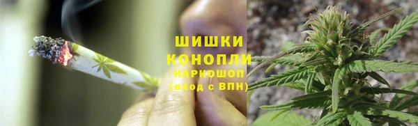 ПСИЛОЦИБИНОВЫЕ ГРИБЫ Верхний Тагил
