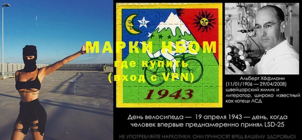 ПСИЛОЦИБИНОВЫЕ ГРИБЫ Верхний Тагил