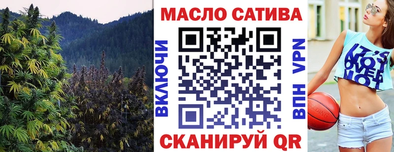 Купить  Олонец  ТГК THC oil 