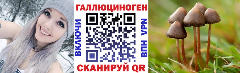 Купить закладки  Олонец  Псилоцибиновые грибы GOLDEN TEACHER 