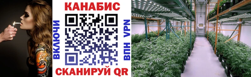 Купить закладки  Олонец  Каннабис Bruce Banner 